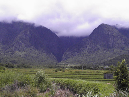 farm 02