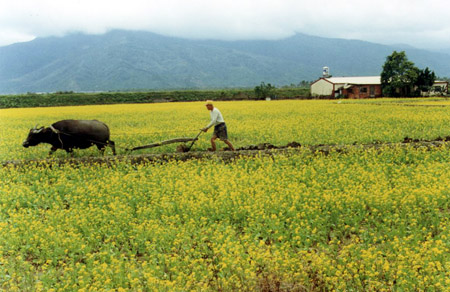 c valley 006