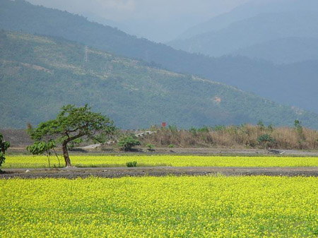 c valley 015