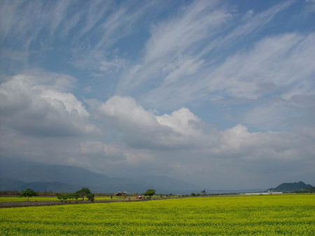 c valley 018