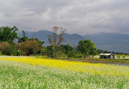 c valley 021