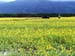 c valley 001