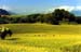c valley 004