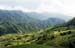 c valley 005