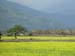 c valley 015