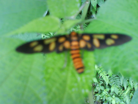 DSC00118