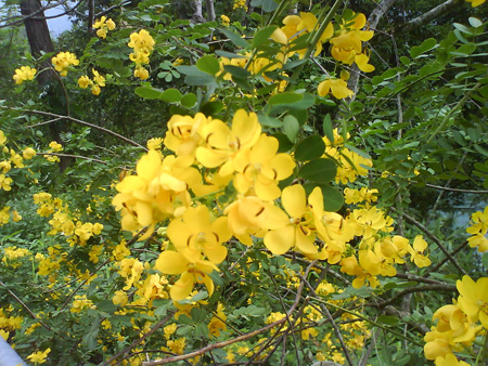 DSC00121