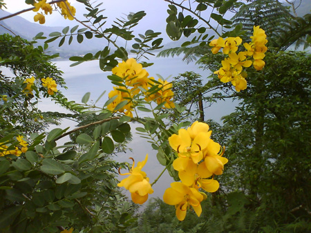 DSC00122
