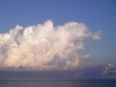 PIC_a0011