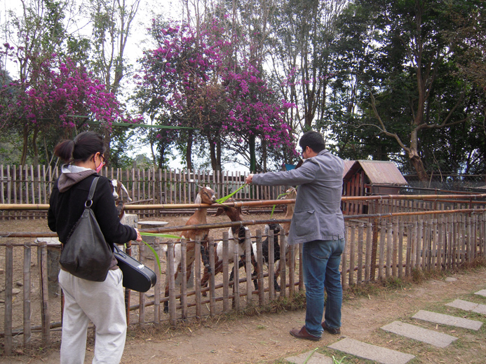 DSCN0566