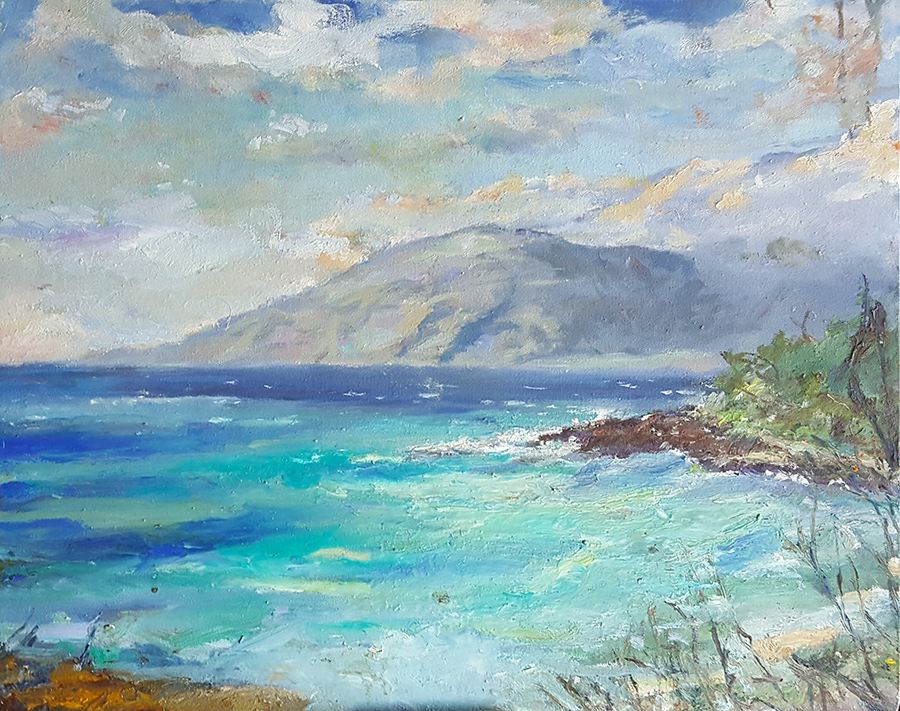 maui046