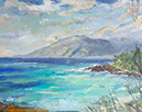 maui046