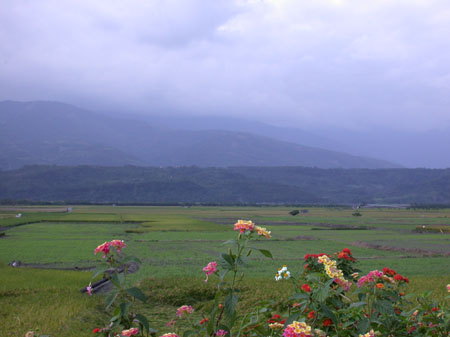 DSCN2909