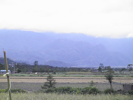 PIC_0010