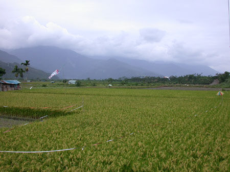 DSCN2895