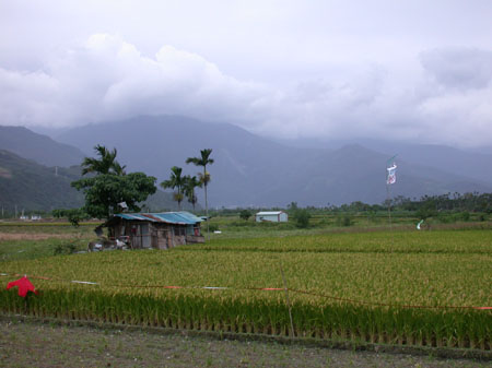 DSCN2896