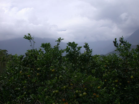 DSCN2904