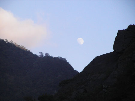PIC_0010