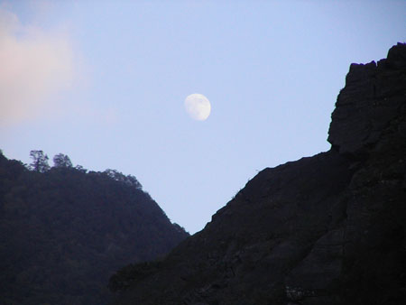PIC_0011