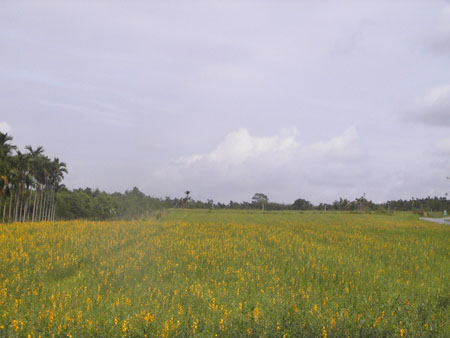 PIC_0028