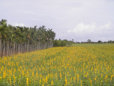PIC_0029