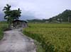 DSCN2897