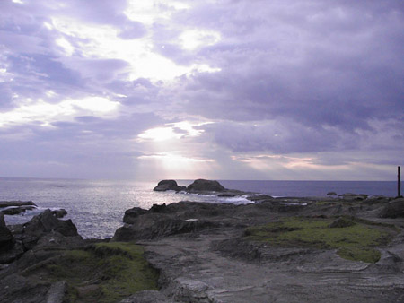 steppy coast