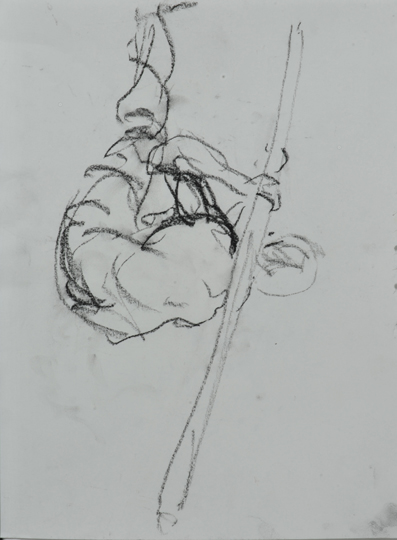 017