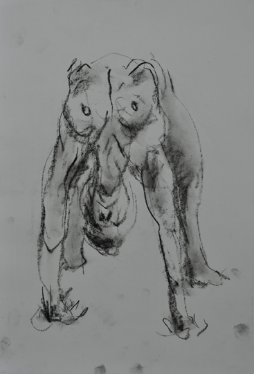 064