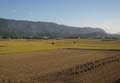 nov023