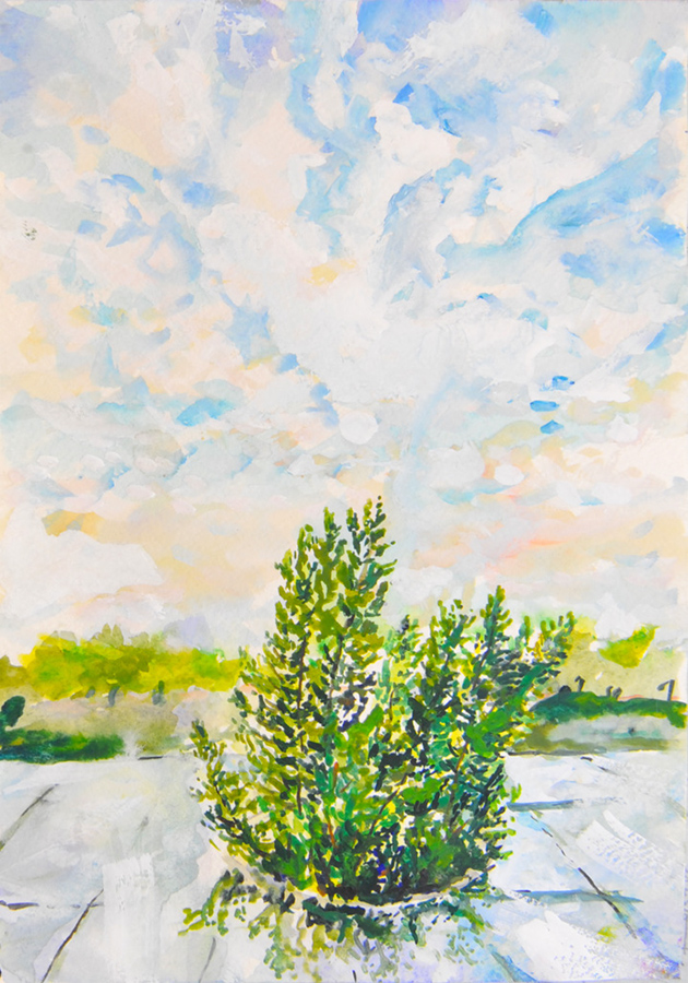 2013 work 551