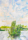 2013 work 551